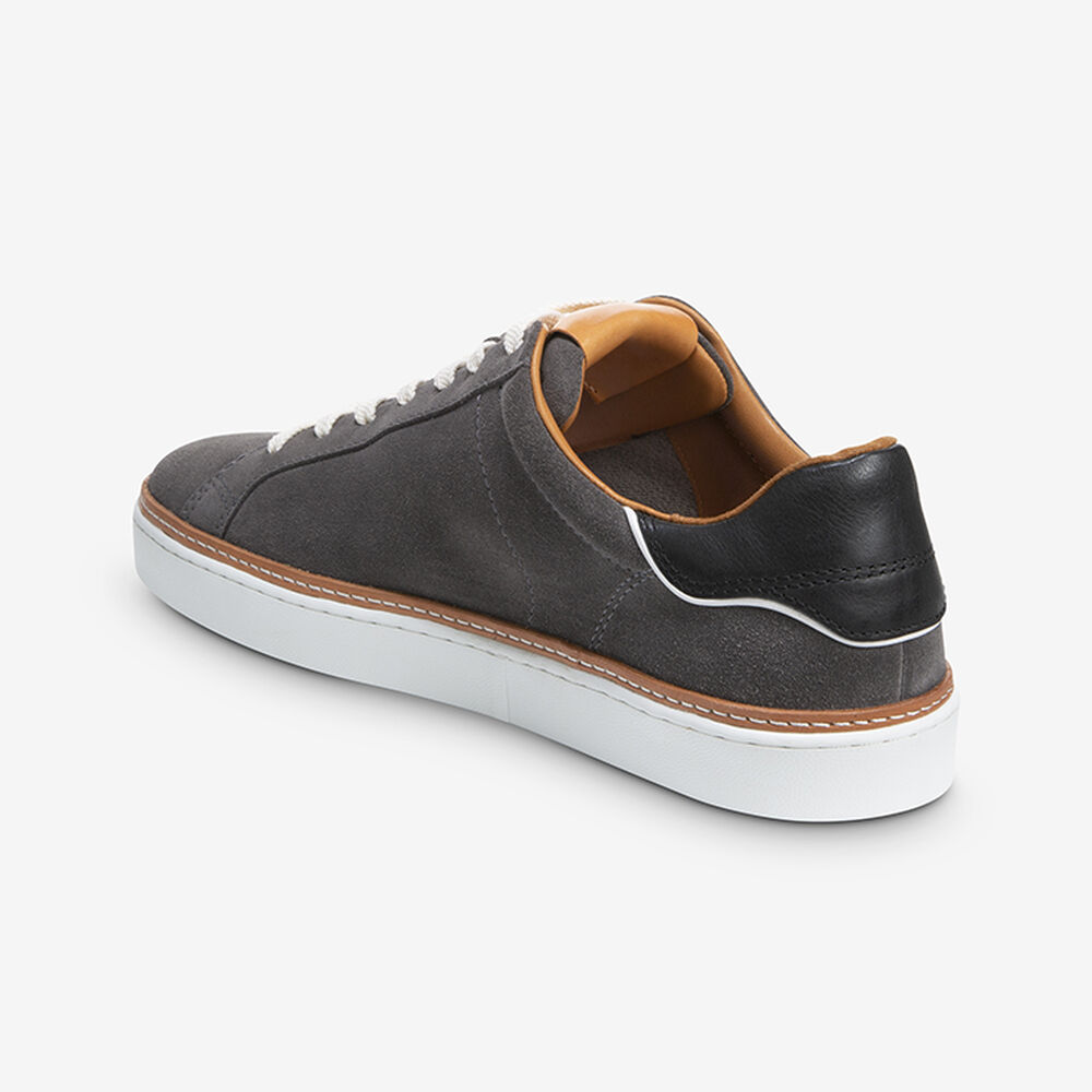 Allen Edmonds Alpha Sneakers Herren Dunkelgrau | Deutschland-6513728