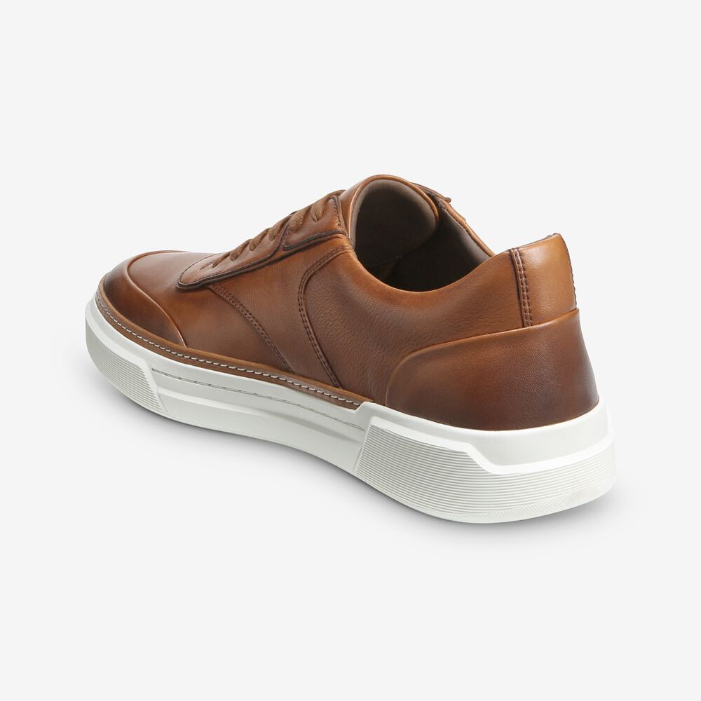 Allen Edmonds Burke Sneakers Herren Braun | Deutschland-7938160