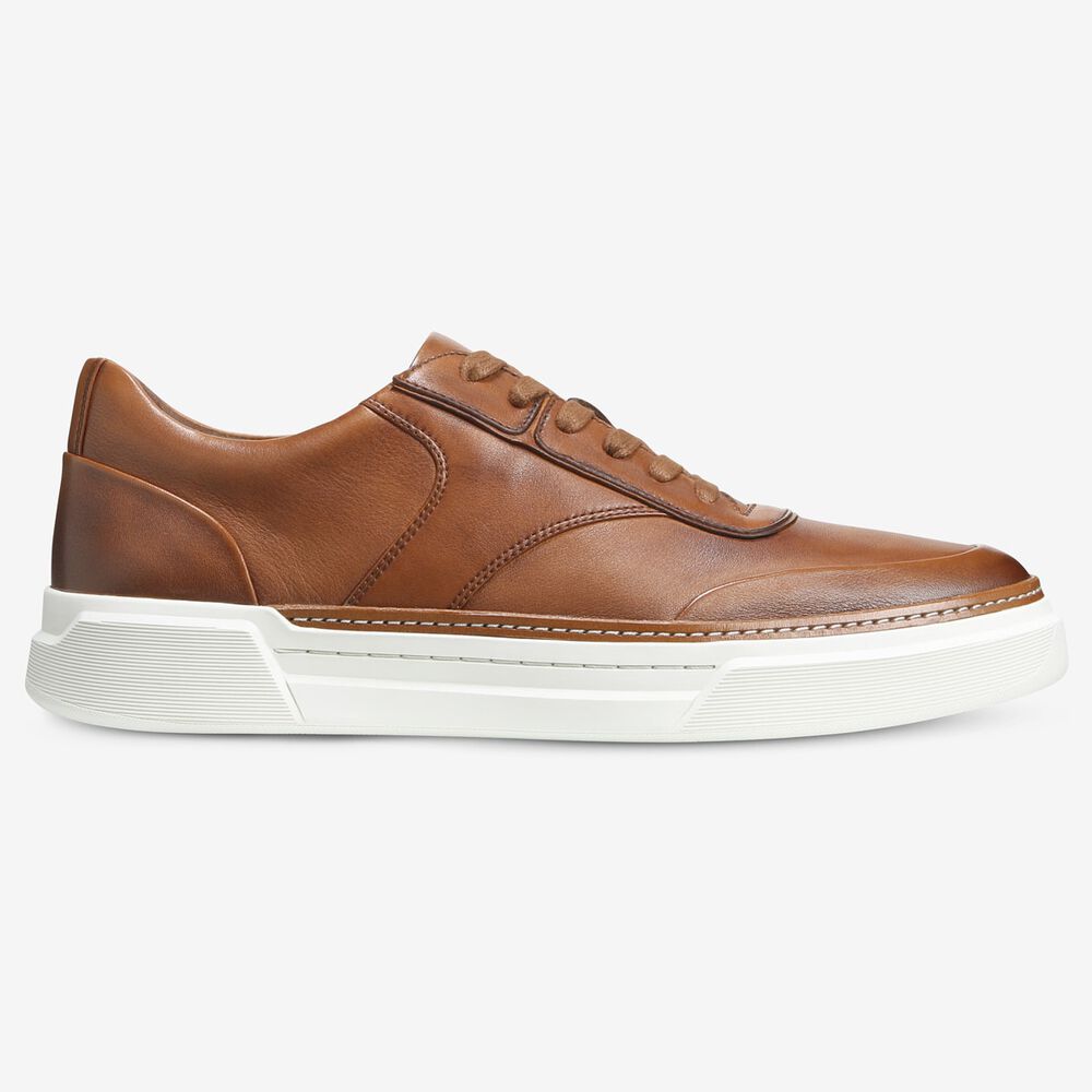 Allen Edmonds Burke Sneakers Herren Braun | Deutschland-7938160