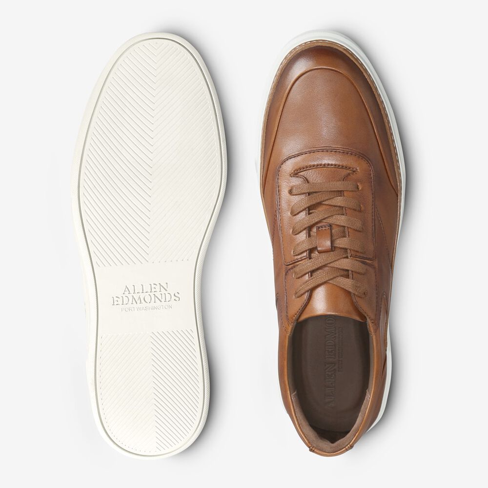 Allen Edmonds Burke Sneakers Herren Braun | Deutschland-7938160