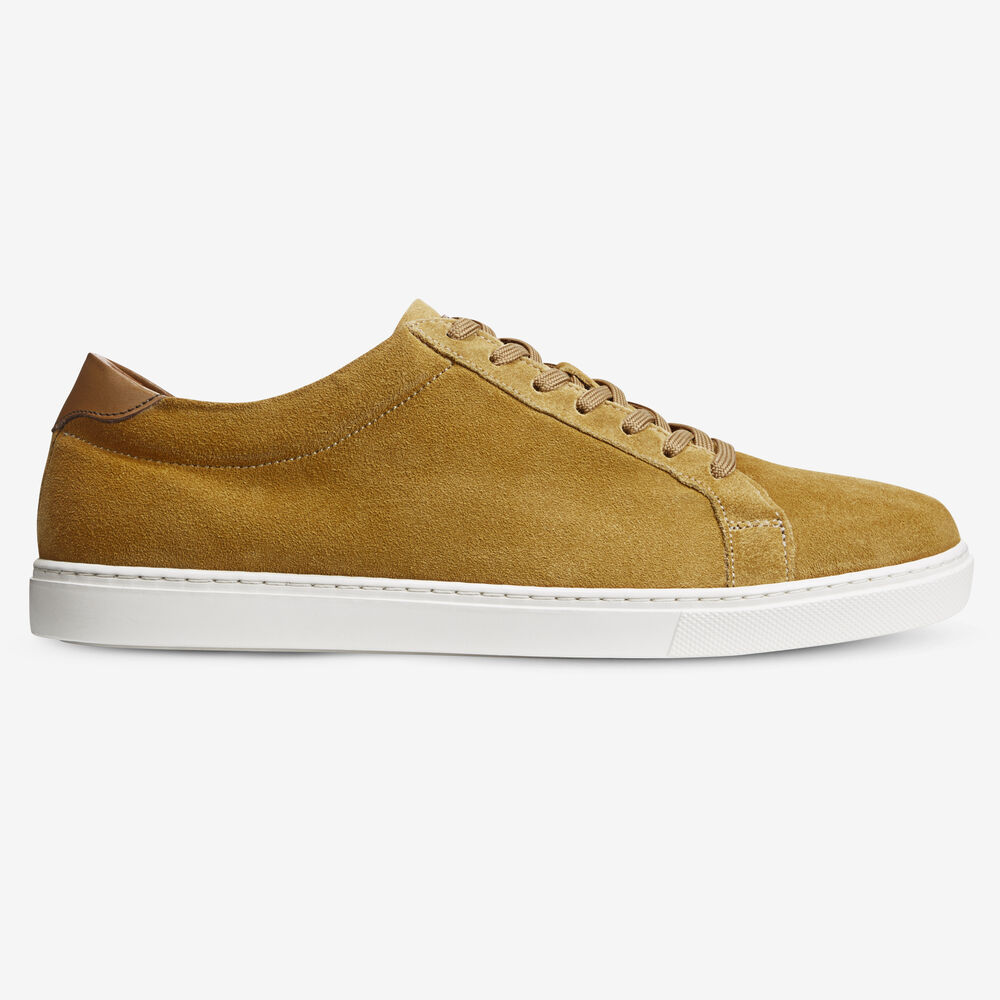 Allen Edmonds Courtside Sneakers Herren Gelb | Deutschland-7296853