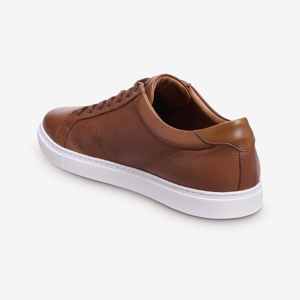 Allen Edmonds Courtside Sneakers Herren Braun | Deutschland-9720315