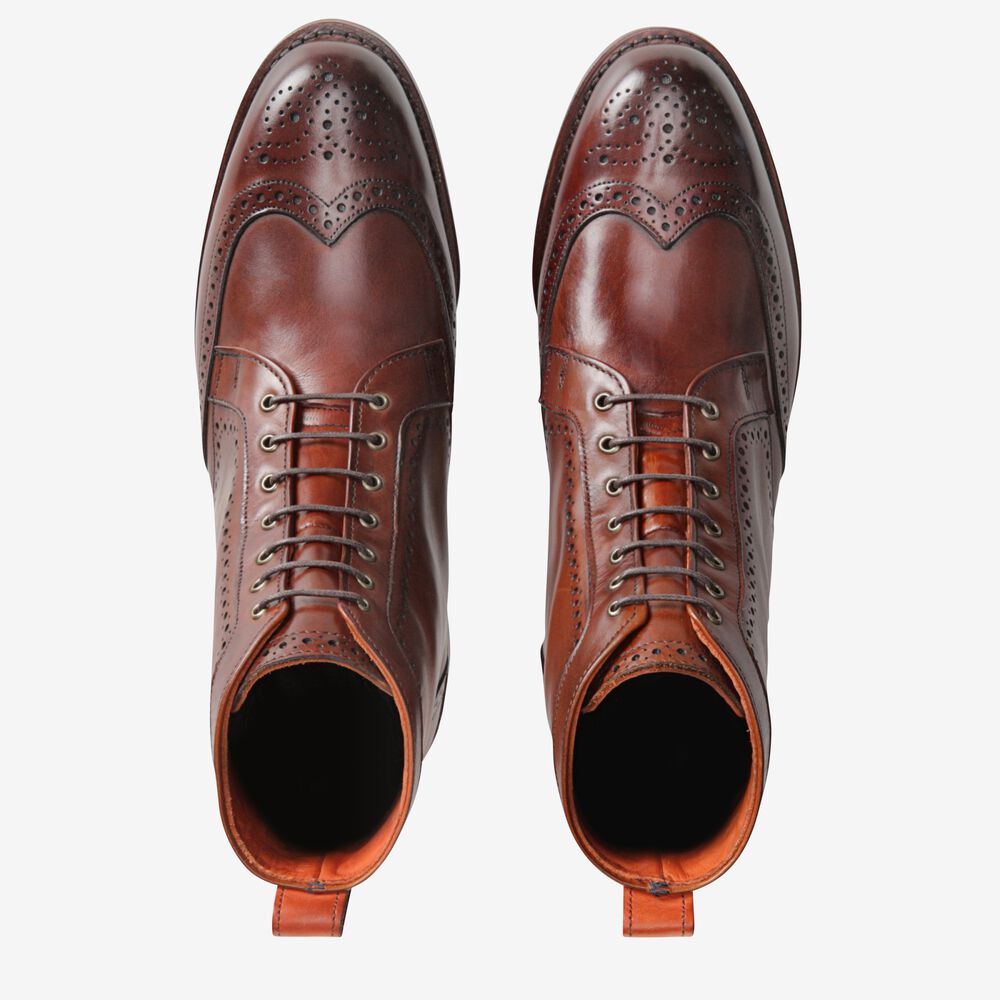 Allen Edmonds Dalton Wingtip Kleid Stiefel Herren Dunkelrot | Deutschland-5907618