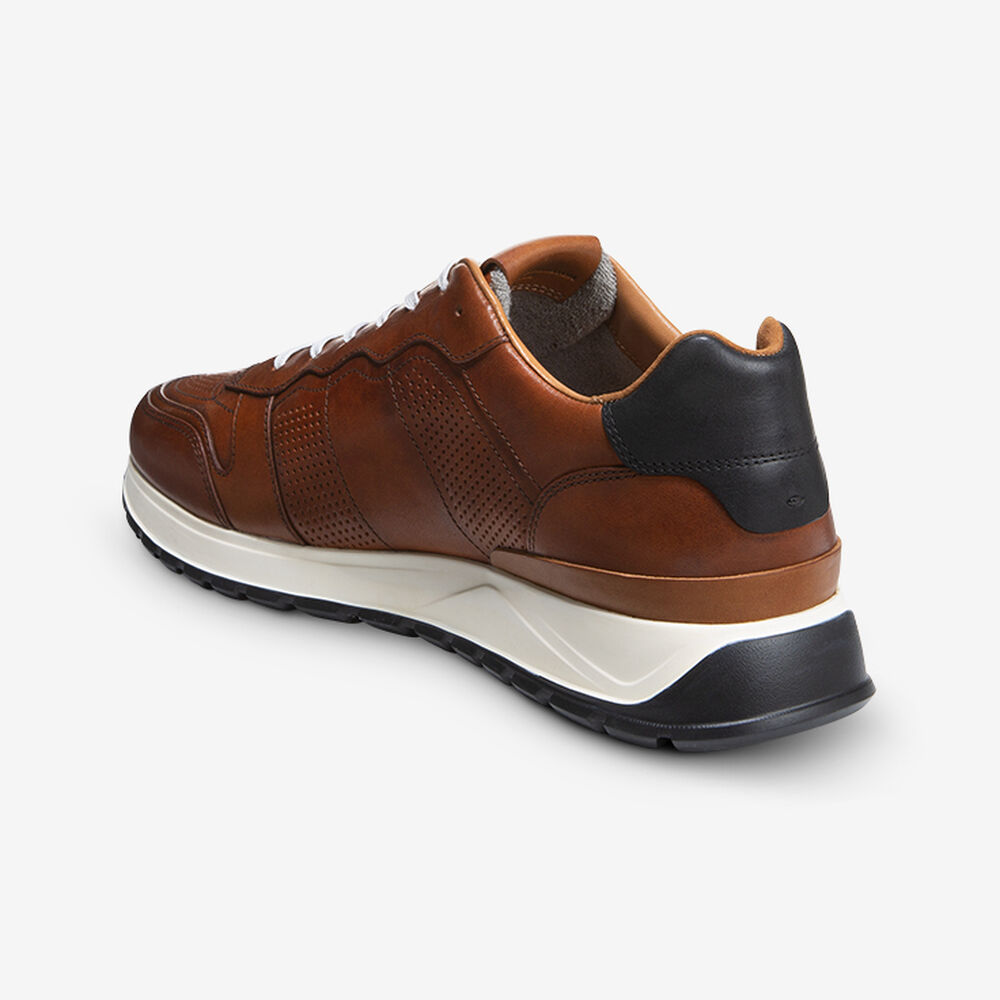 Allen Edmonds Lightyear Sneakers Herren Braun | Deutschland-8903257