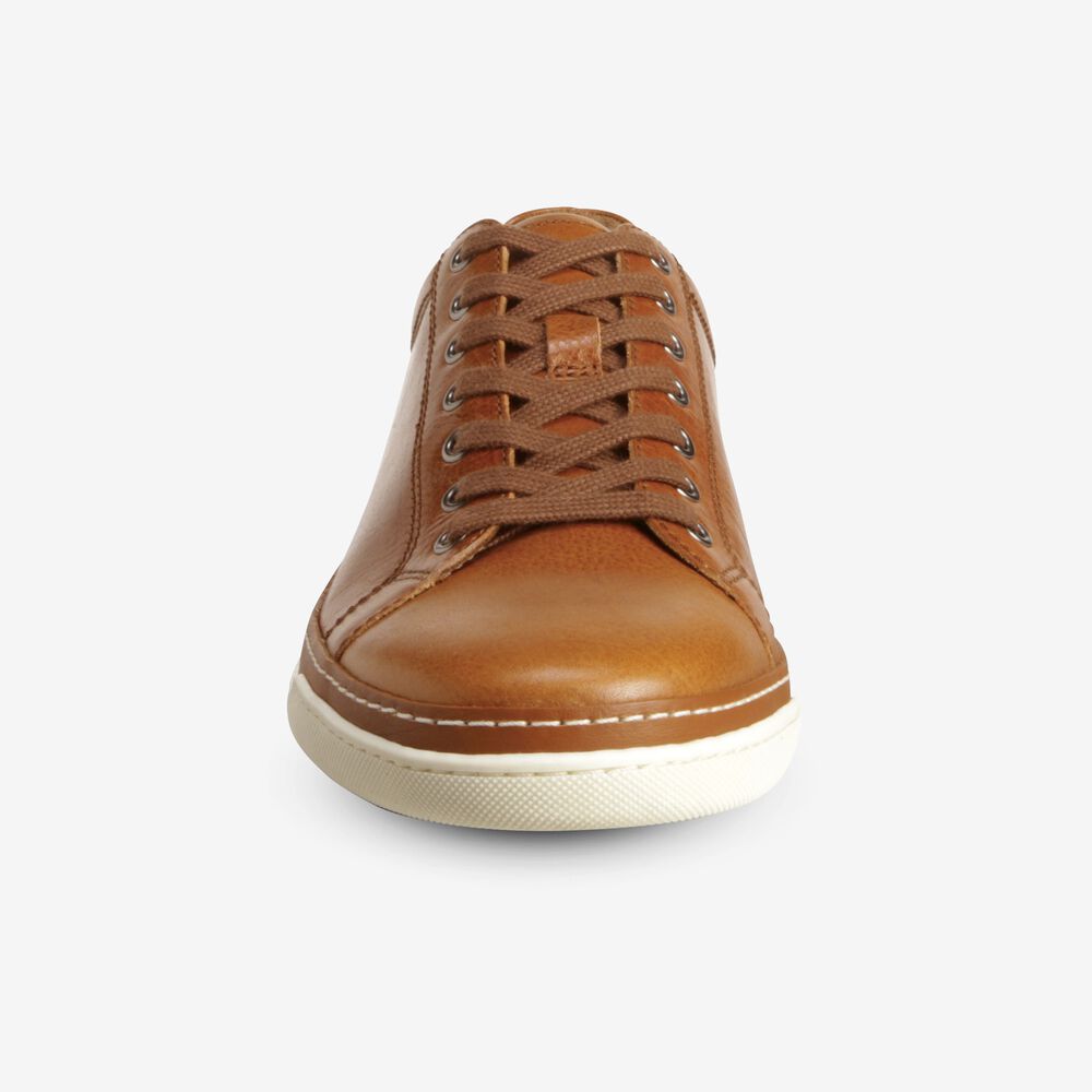 Allen Edmonds Porter Derby Sneakers Herren Braun | Deutschland-3184706