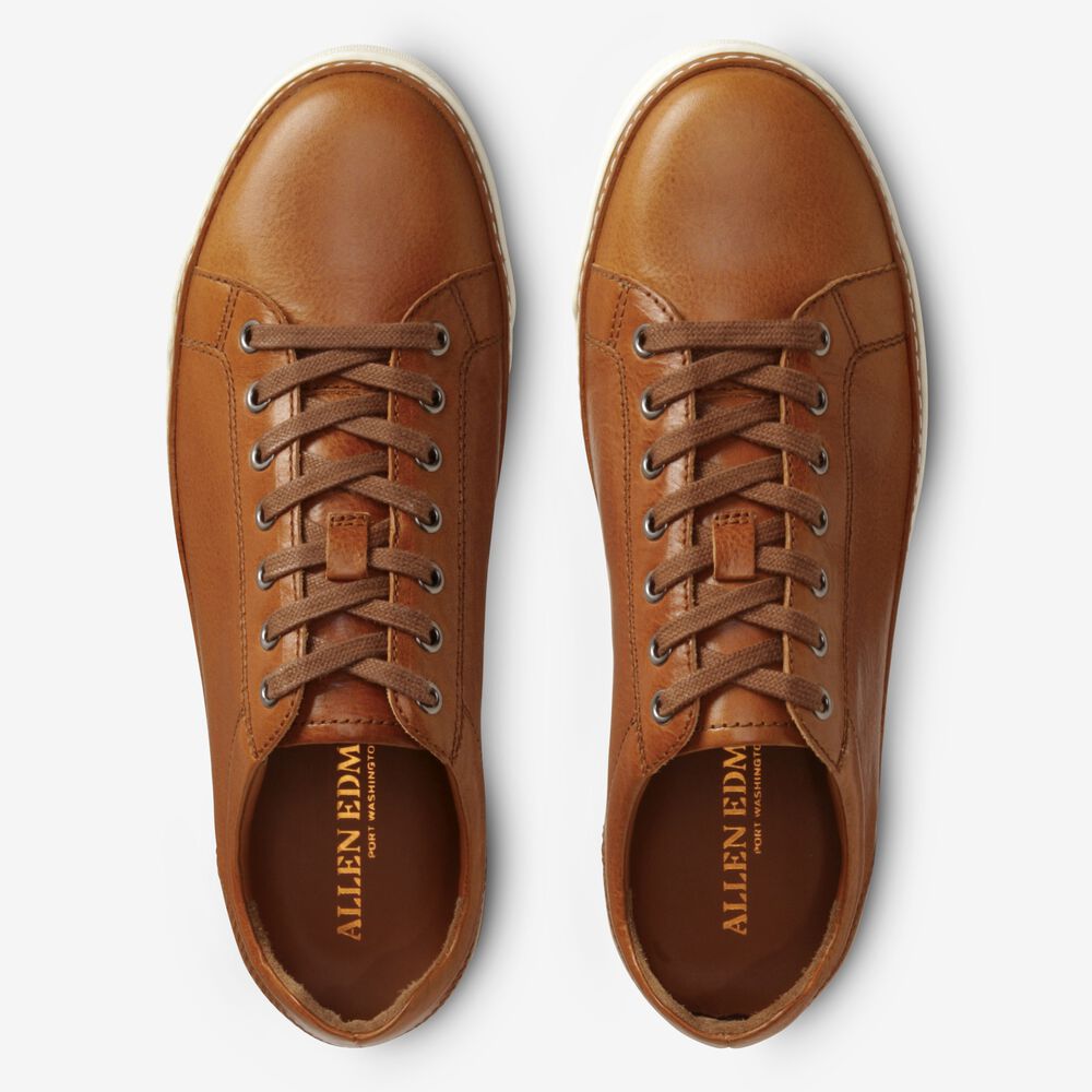 Allen Edmonds Porter Derby Sneakers Herren Braun | Deutschland-3184706