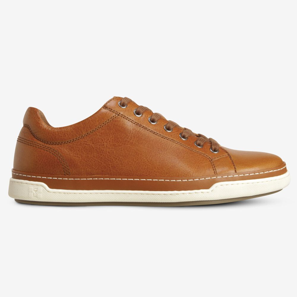 Allen Edmonds Porter Derby Sneakers Herren Braun | Deutschland-3184706